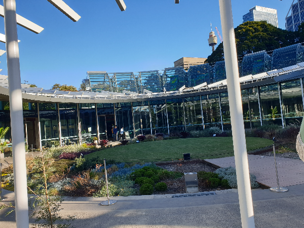 시드니 4박 5일 완벽 여행 일정_The Calyx