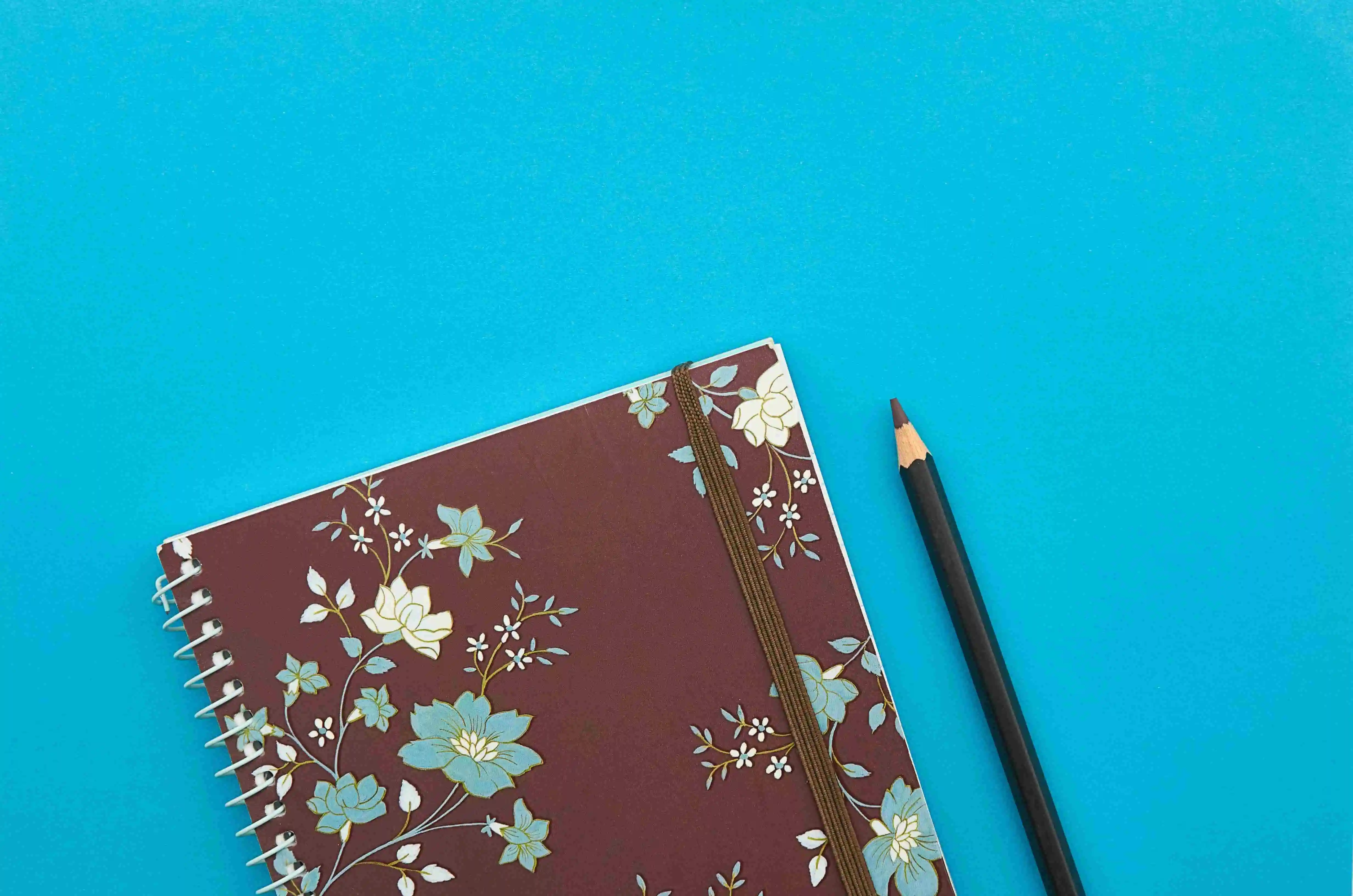 2025년 청년 대상 정부지원금 한눈에 보기 (완전정리)