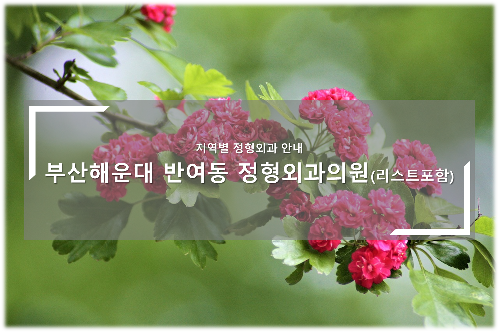 부산해운대구 반여동 정형외과의원 안내