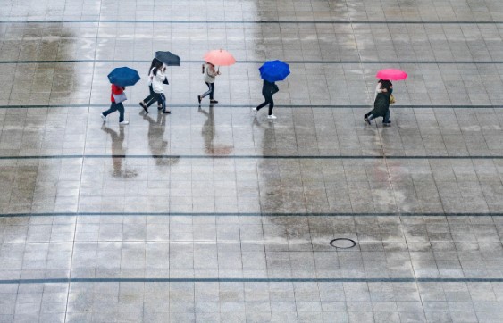 2025년 장마기간