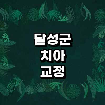 대구 달성군 교정 치과