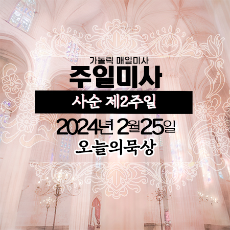 2024년 2월 25일 매일미사