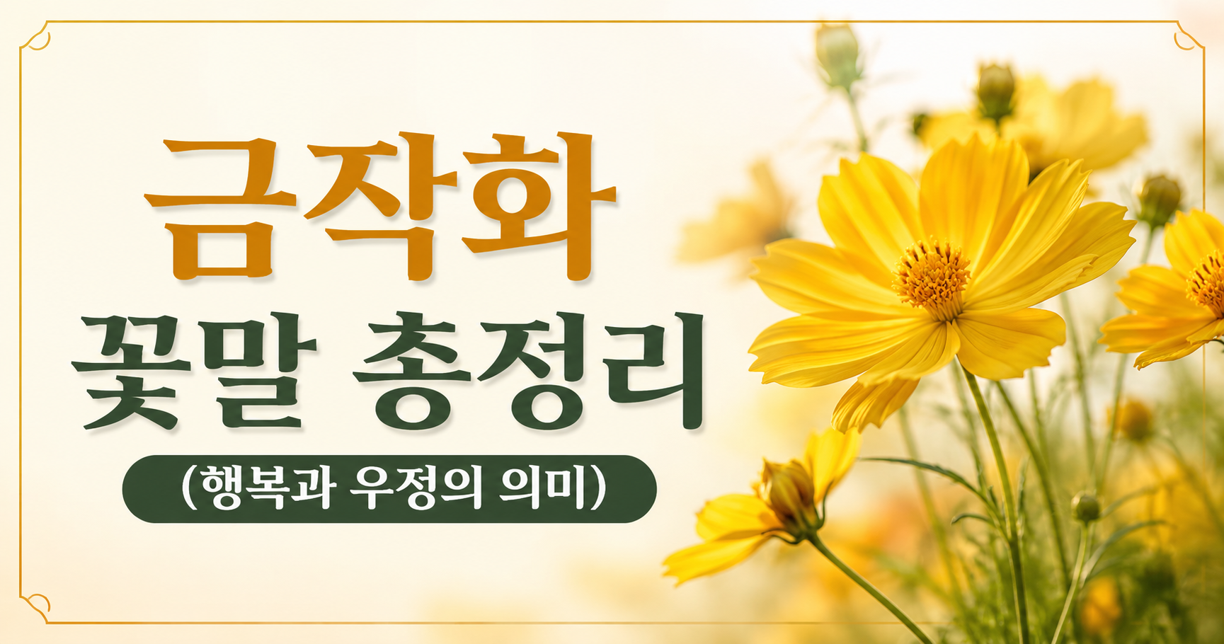 금작화 꽃말