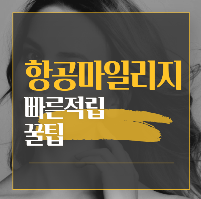 섬네일 이미지