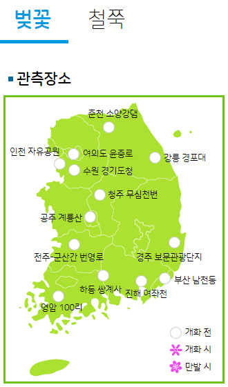 벚꽃개화상황기상청