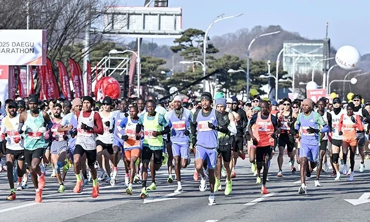 🏃&zwj;♂️ [2026 대구마라톤 총정리]｜상금&middot;접수&middot;코스까지 한눈에