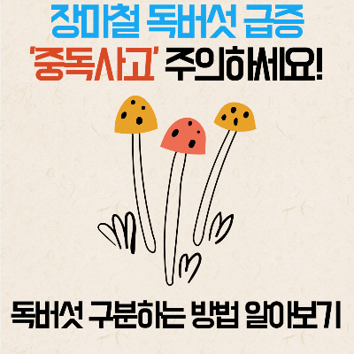 독버섯