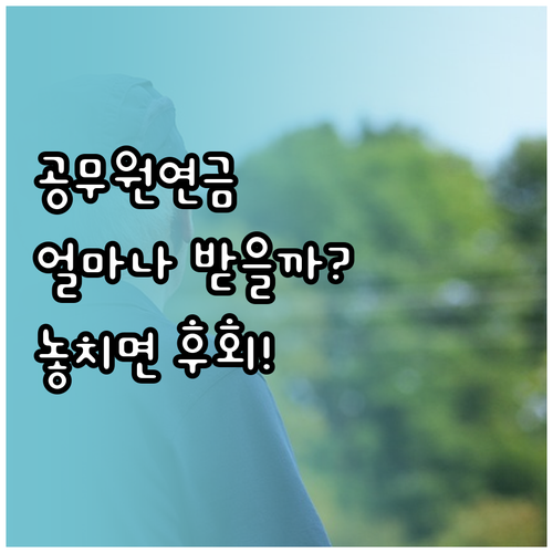 공무원연금의 모든 것: 종류와 지급 ..
