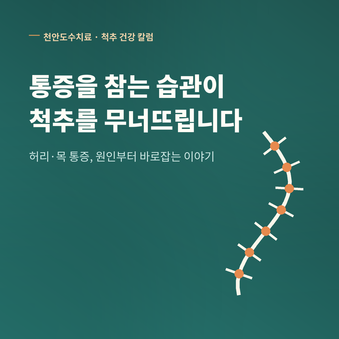 천안도수치료 척추 건강 칼럼 표지 이미지, 딥그린 배경에 'S자 척추 일러스트'와 '통증을 참는 습관이 척추를 무너뜨립니다' 문구
