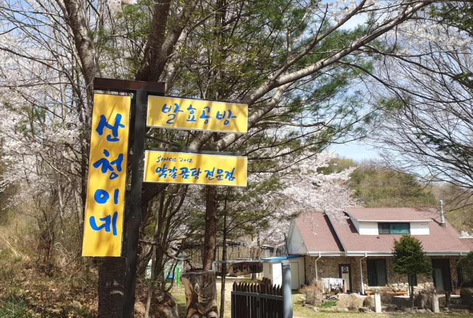 남겨서뭐하게 4회, 경남 청도 밥잘주는 민박집 산청이네, 보양식 예약 가격