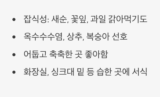 때로는 성가신 불청객이 되는 이유