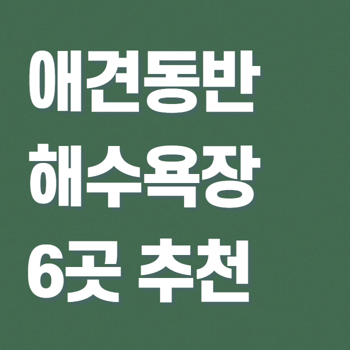 애견동반 해수욕장 썸네일