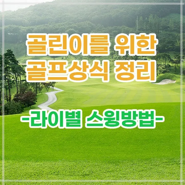 골프라이별공략 페어웨이 러프 벙커 하드라이 대처_2