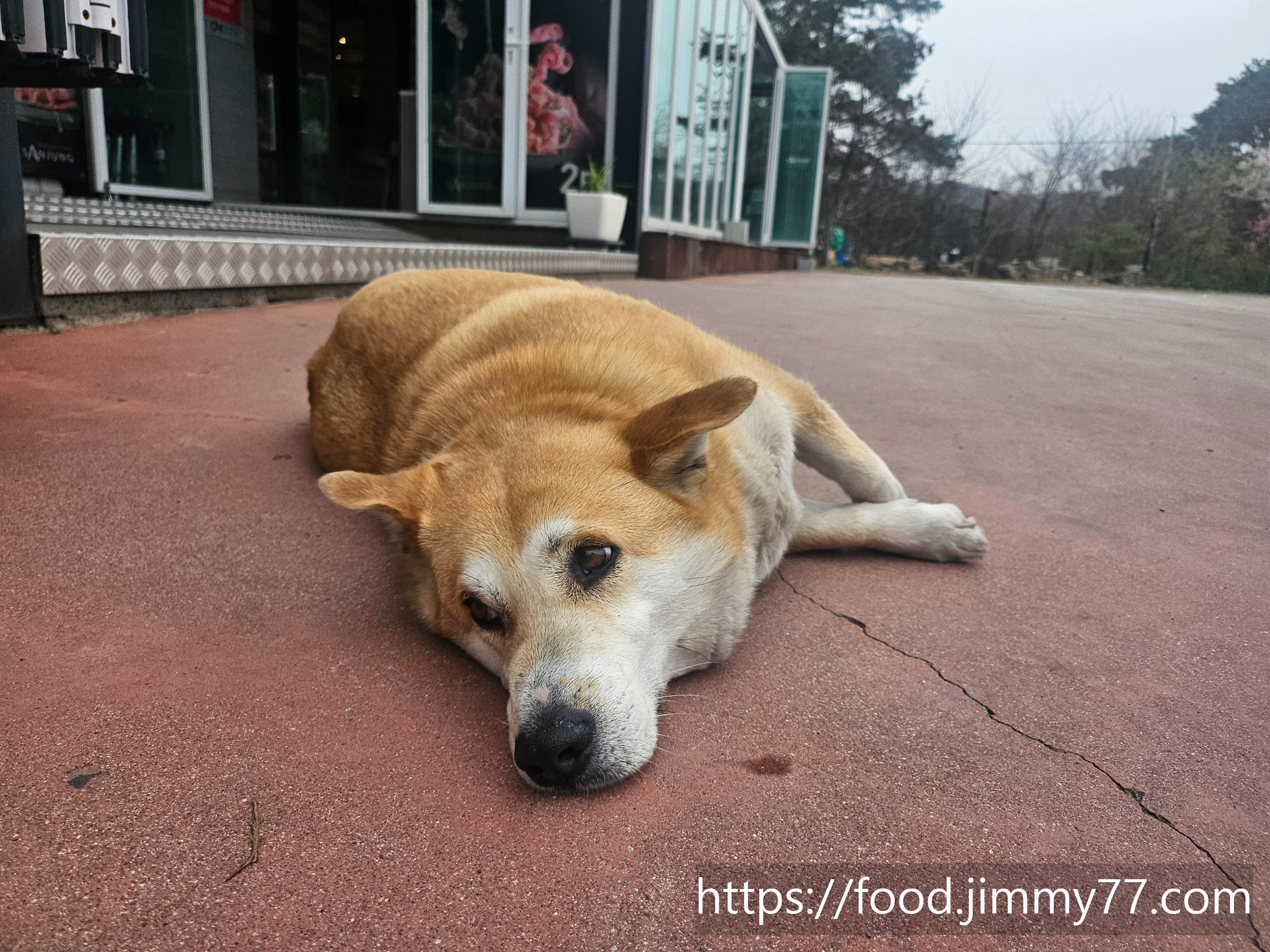 산을닮은밥상 산중