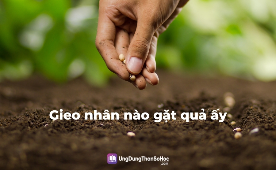 "년"에 따른 "꽈", 뿌린대로 거두리라