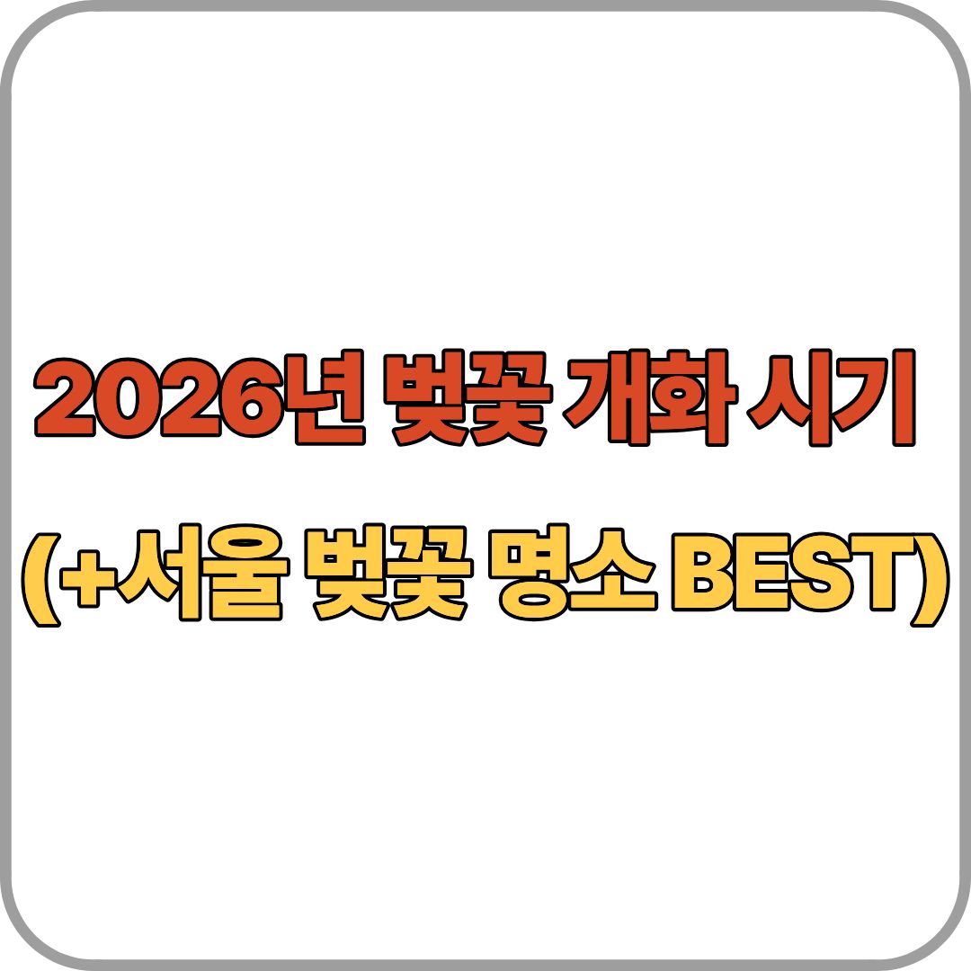 2026년 벚꽃 개화 시기 총정리 (+서울 벚꽃 명소 BEST)