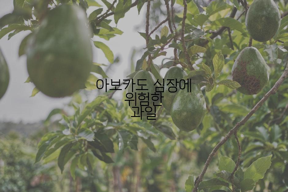 아보카도 심장에 위험한 과일