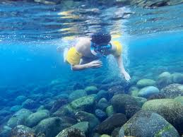 태하 해역공원 &ndash; 스노클링 체험에 제격 (출처:월간산/네이버 블로그)