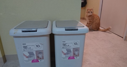 뚜껑이 달린 쓰레기통.