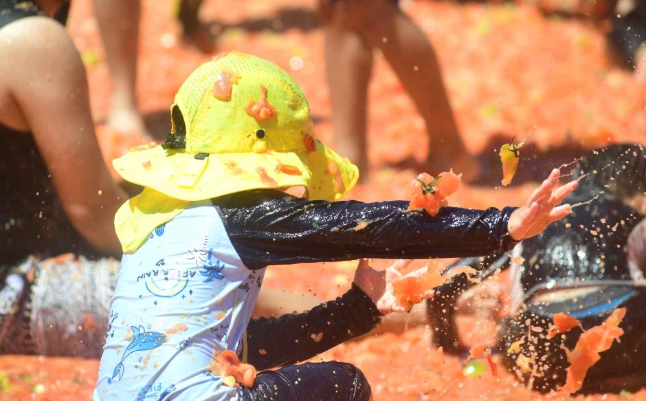 축제 일정 & 운영 정보