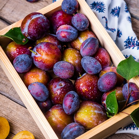 건자두 효능 부작용