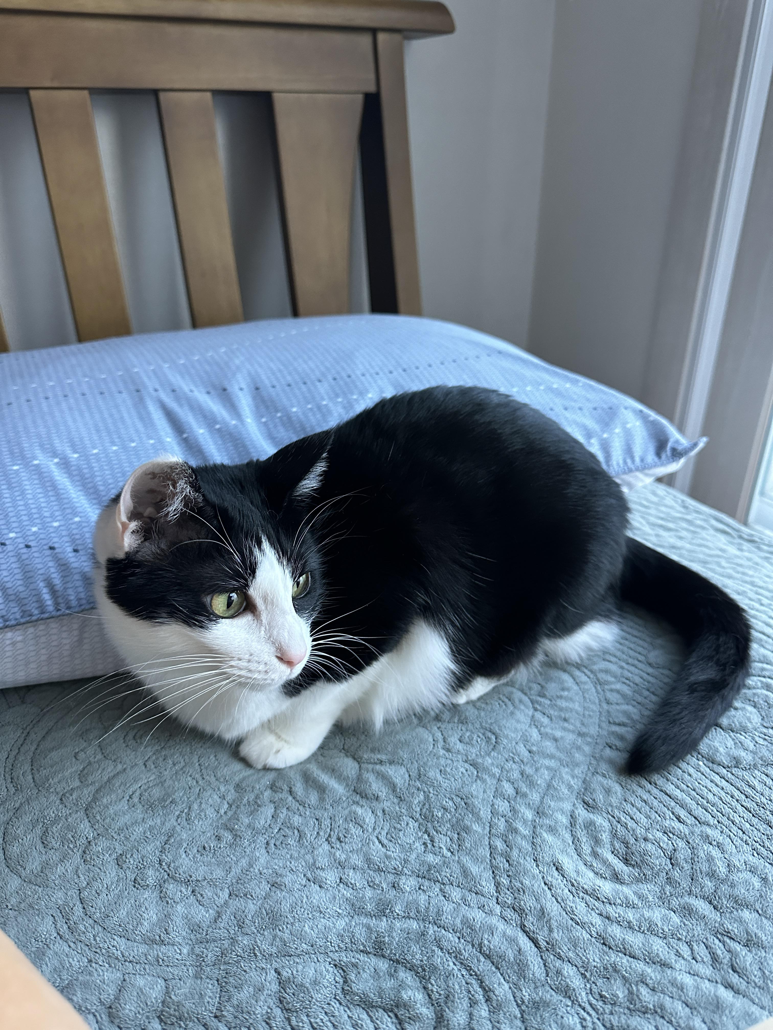 정신을_차린_두리_1