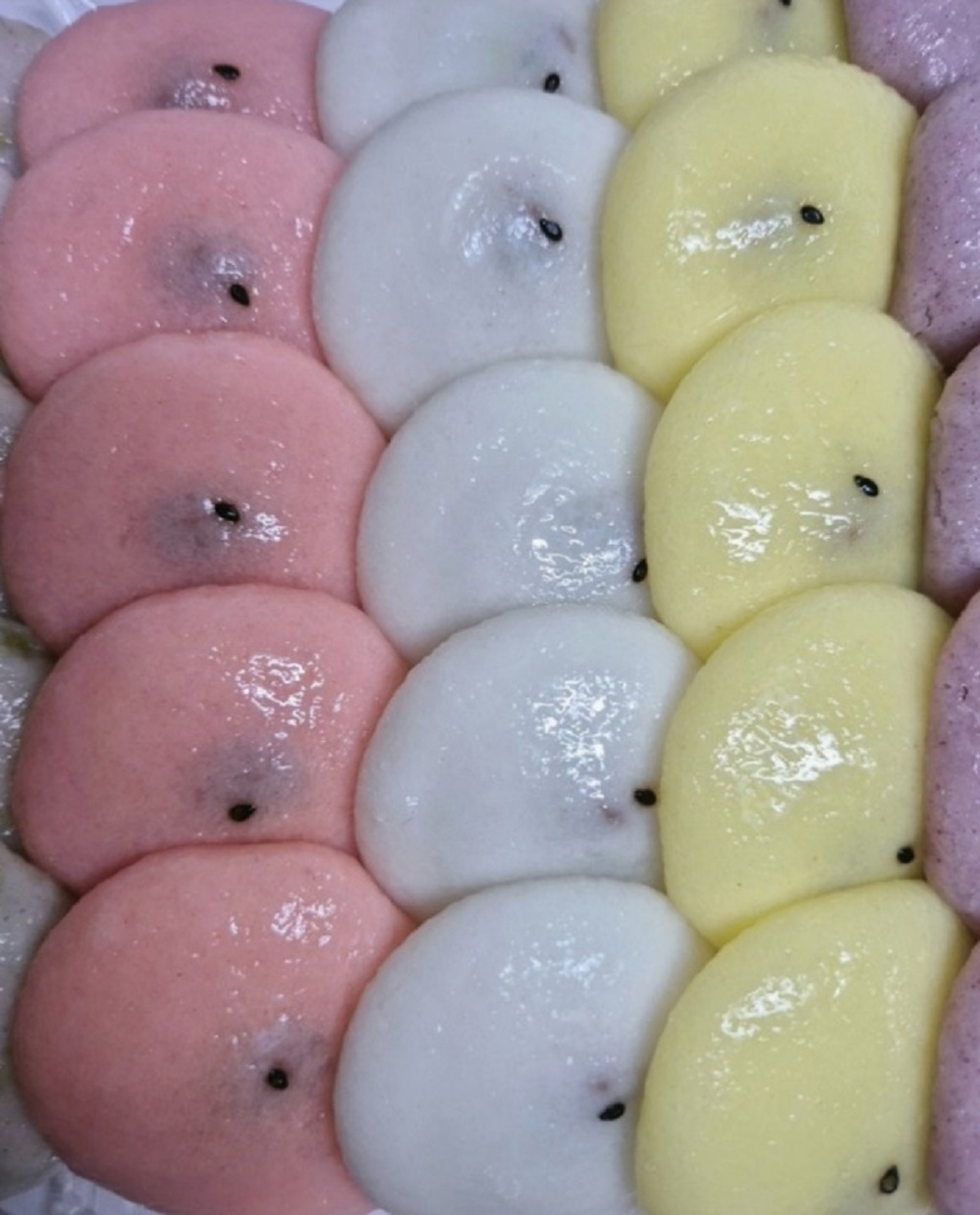 송희용-창평-쌀엿-오색기정떡