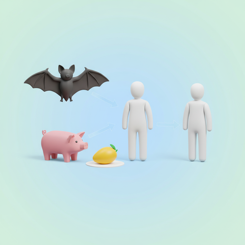 니파바이러스 감염경로: 예상치 못한 위협 요소들