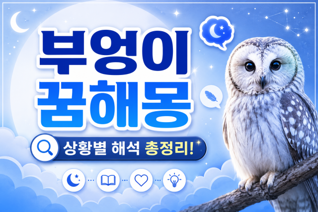 부엉이 꿈해몽 총정리 (잡는 꿈, 우는 꿈, 품에 안기는 꿈, 새끼 부엉이)