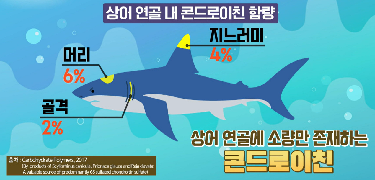 콘드로이친 효능