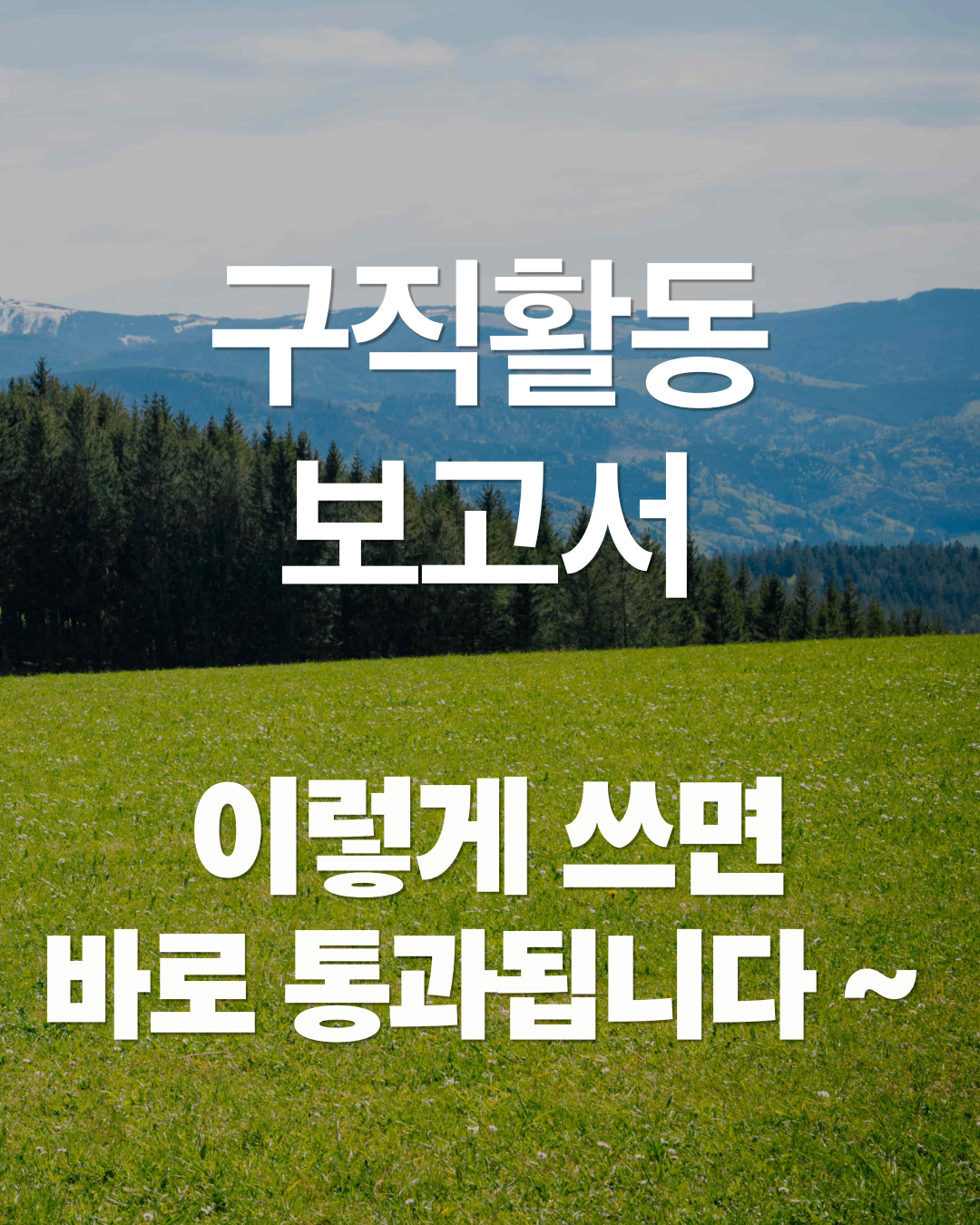 구직활동보고서 작성방법