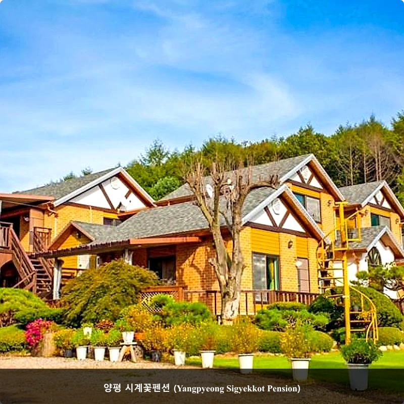 양평 시계꽃펜션 (Yangpyeong Sigyekkot Pension)_5