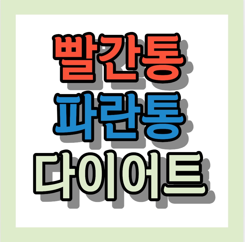 빨간통 파란통 다이어트