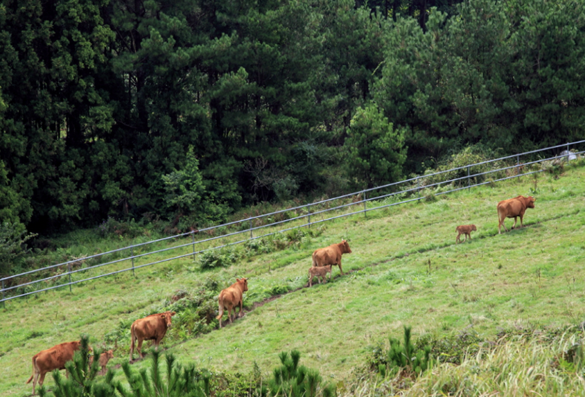 제주도 가볼만한 곳