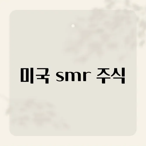 미국 smr 주식, 누스케일 다음 주인공은?