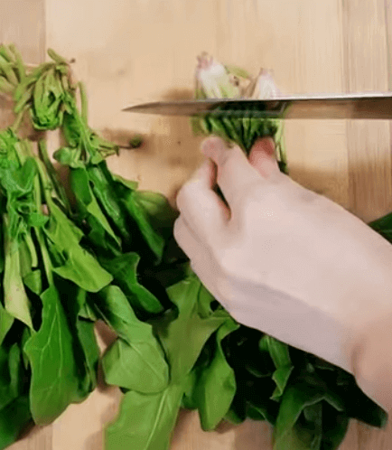 시금치 요리