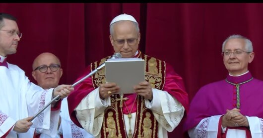 새 교황으로 선출된 레오 14세