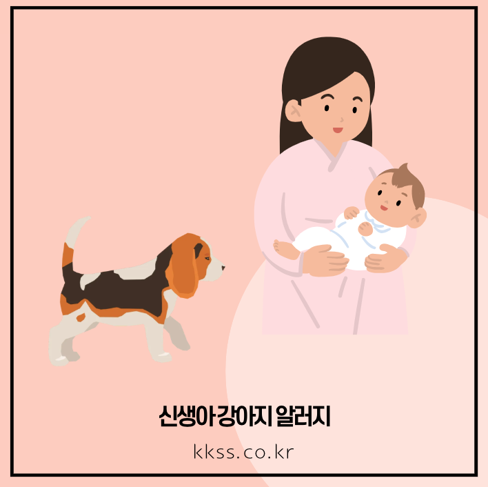 신생아 강아지 알러지 치료법