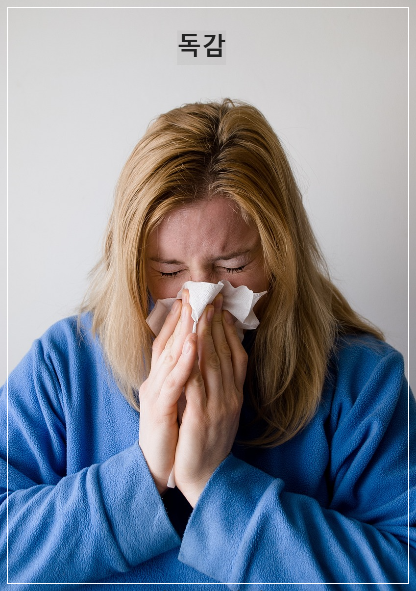 독감