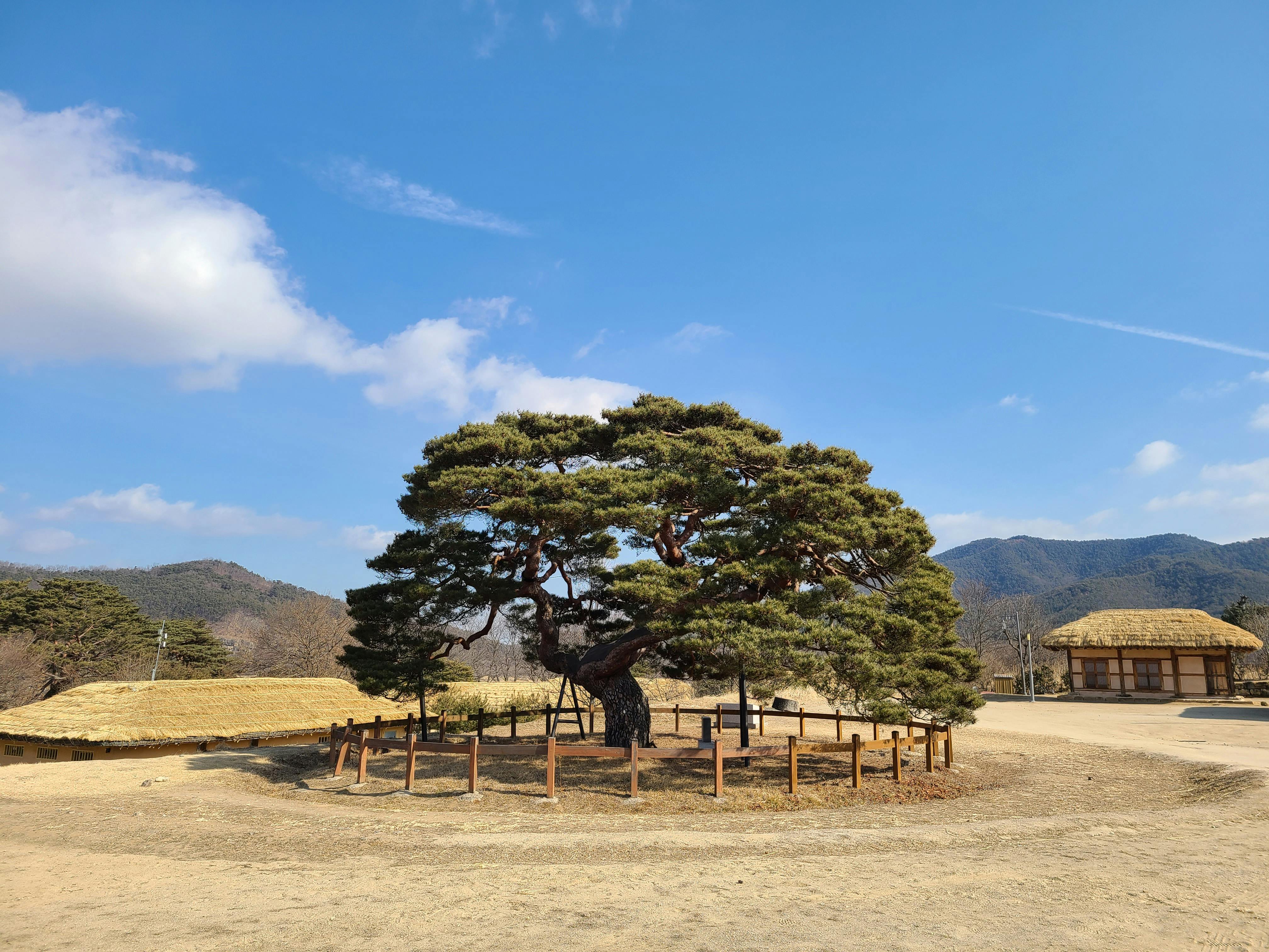 9월에가볼만한국내여행지