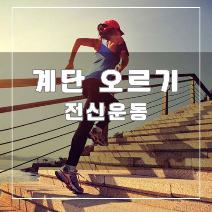 계단 오르기