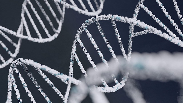 dna