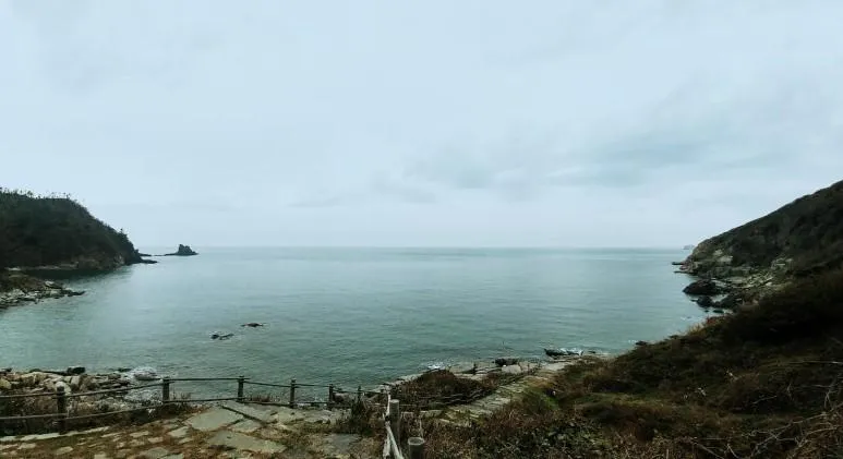 대천 호도 배편 배시간표 예매 요금 예약_3