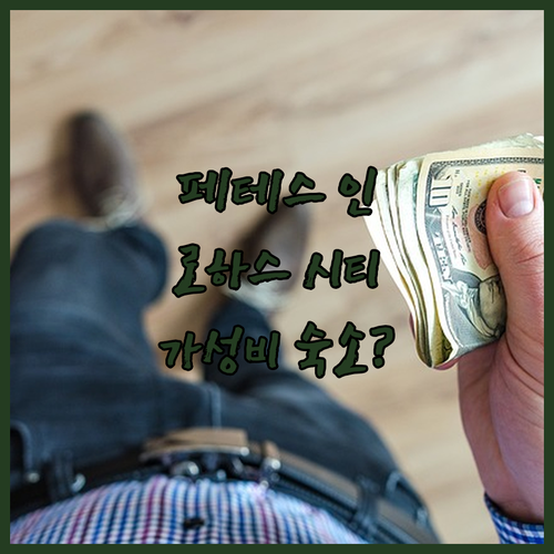 페테스 인.. 로하스 시티 가성비 숙