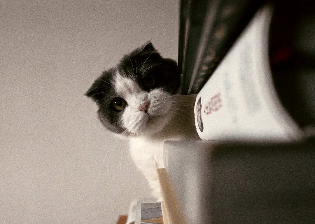Helper