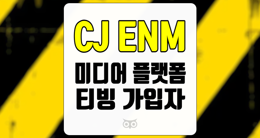 CJ ENM, 미디어 플랫폼의 성장과 가입자 수 증가에 대한 분석