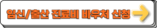 임신/출산 진료비 바우처 신청