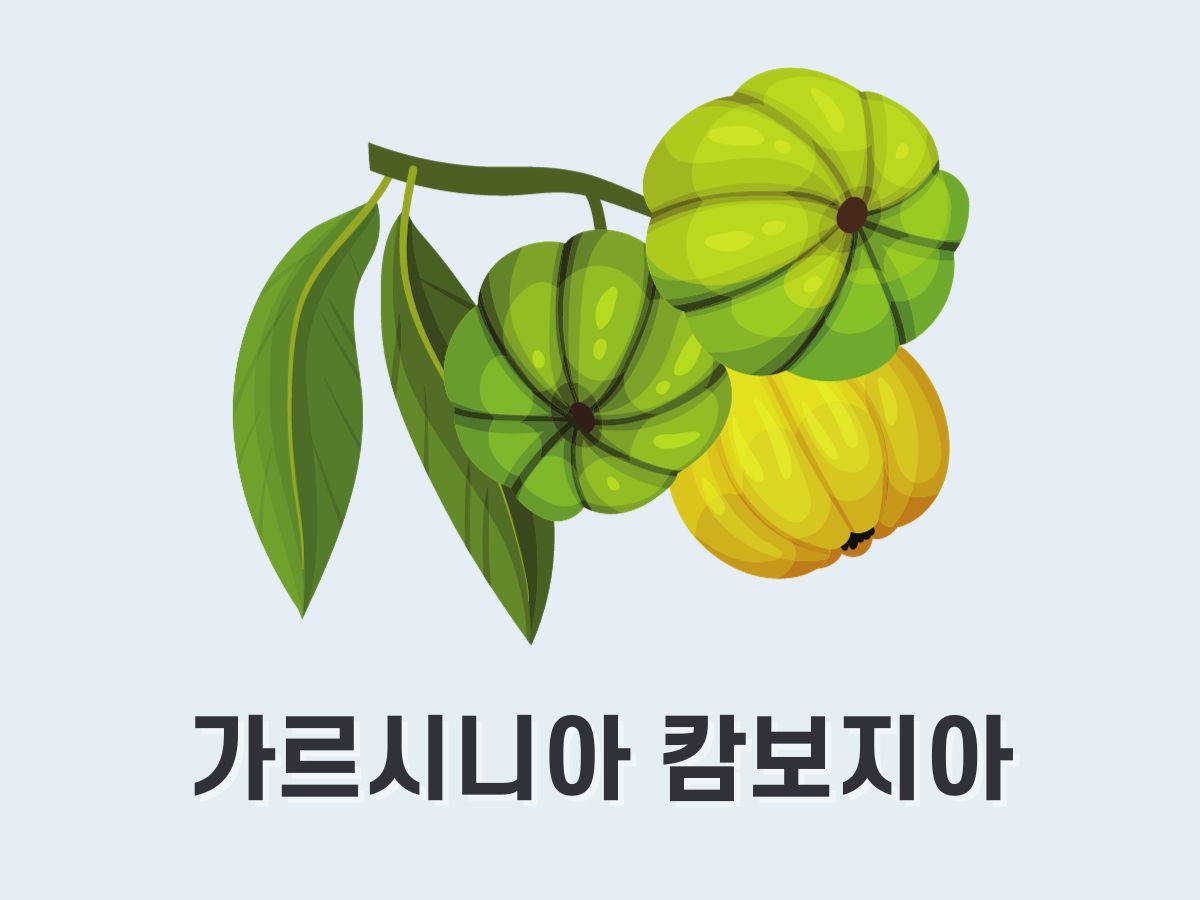 가르시니아 캄보지아 추출물