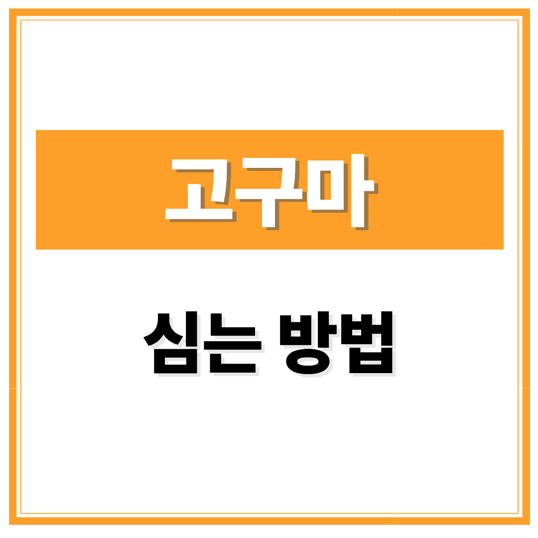 고구마 심는 방법