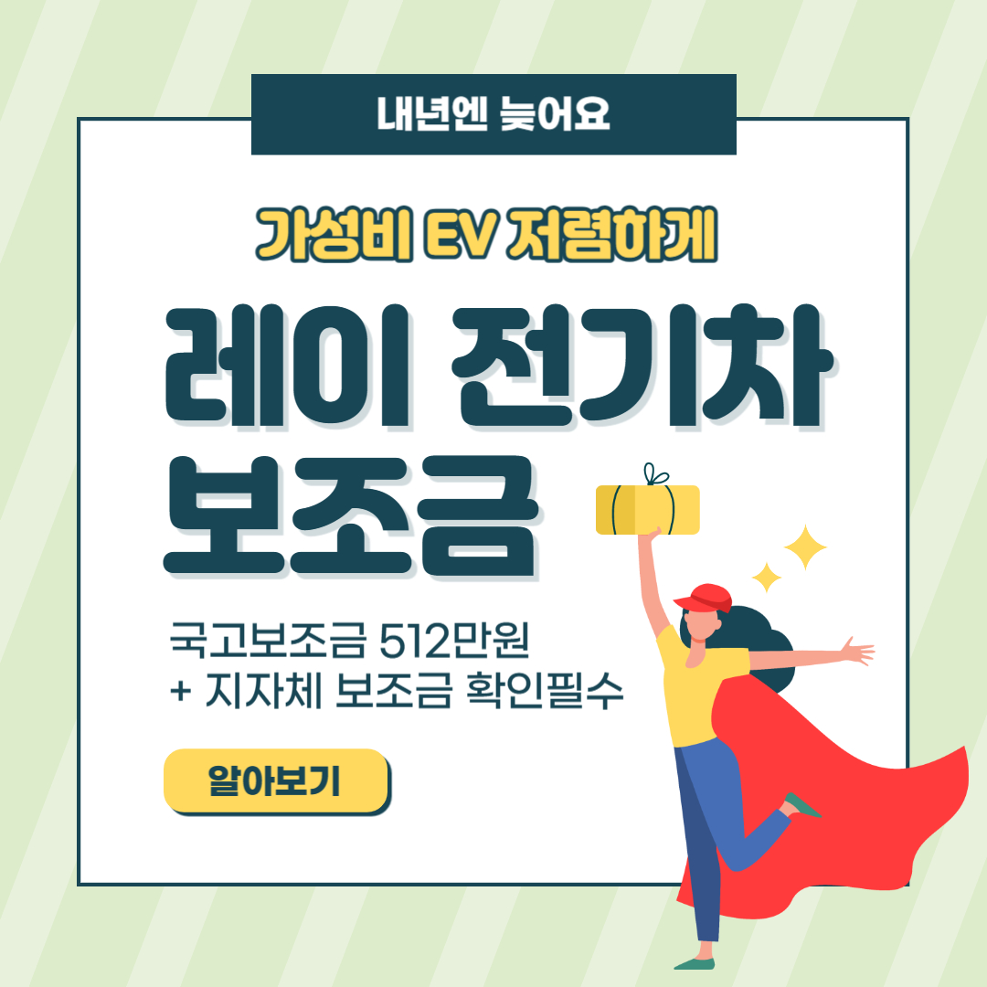 레이 전기차 보조금